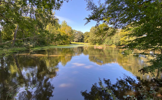 celine-cado-domaine-du-present-etang